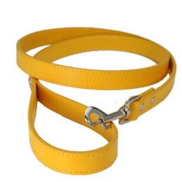 Pet Leash (Color: gold, size: 1.5x120cm)