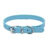 alloy buckle pet dog collar