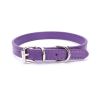 alloy buckle pet dog collar