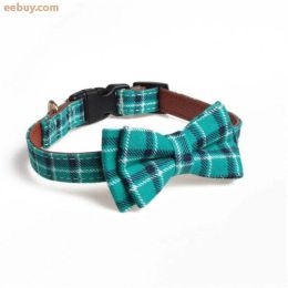 New Dog Collar Set (Color: Teal Collar, size: M)