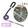 large dog leash