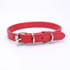 alloy buckle pet dog collar