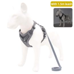 Wholesale dog harness with 1.5m leash (Color: Gray, size: L)