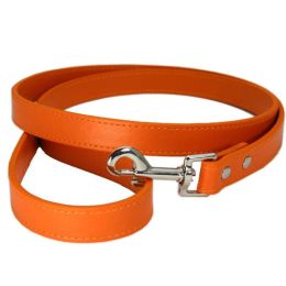 Wholesale Pet Leash (Color: Orange, size: 2.0x120cm)