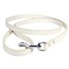 Wholesale Pet Leash