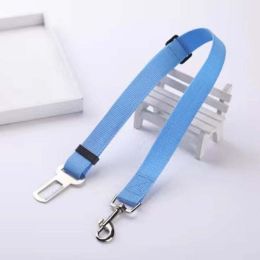 pet dog leash harness (Color: Sky Blue, size: Strong and safe)