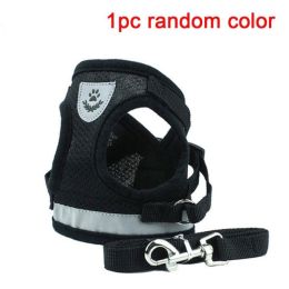 dog harness and leash set (Color: Random Color, size: XL)