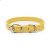 alloy buckle pet dog collar