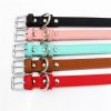 Comfortable Skin Feel Adjustable Dog Collar