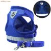 dog harness and leash set