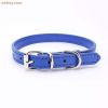 alloy buckle pet dog collar