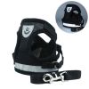 dog harness and leash set