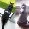 pet cat jacket to keep warm