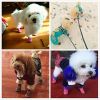 Warm Winter Little Pet Dog Boots Skidproof Soft Snowman Anti-Slip Sole Paw Protectors Small Puppy Shoes 4PCS