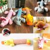 duck starfish animal squeak dog toy