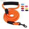 large dog leash