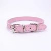 alloy buckle pet dog collar