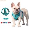 Wholesale dog harness with 1.5m leash