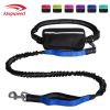 Hands Free Dog Leash with Zipper Pouch; Dual Padded Handles and Durable Bungee for Walking; Jogging and Running Your Dog